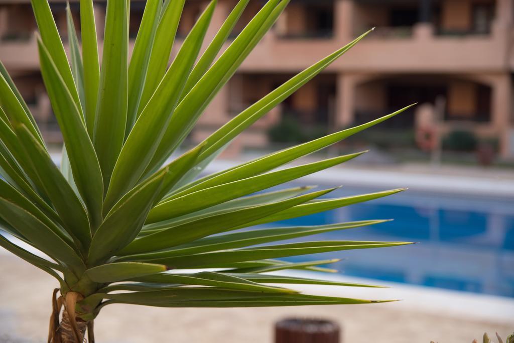 Apartamentos Turisticos Spiritmar อัลเมริมาร์ ภายนอก รูปภาพ